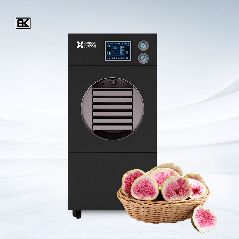 Simplify Food Preservation with Bolaike’s Compact Freeze Dryer